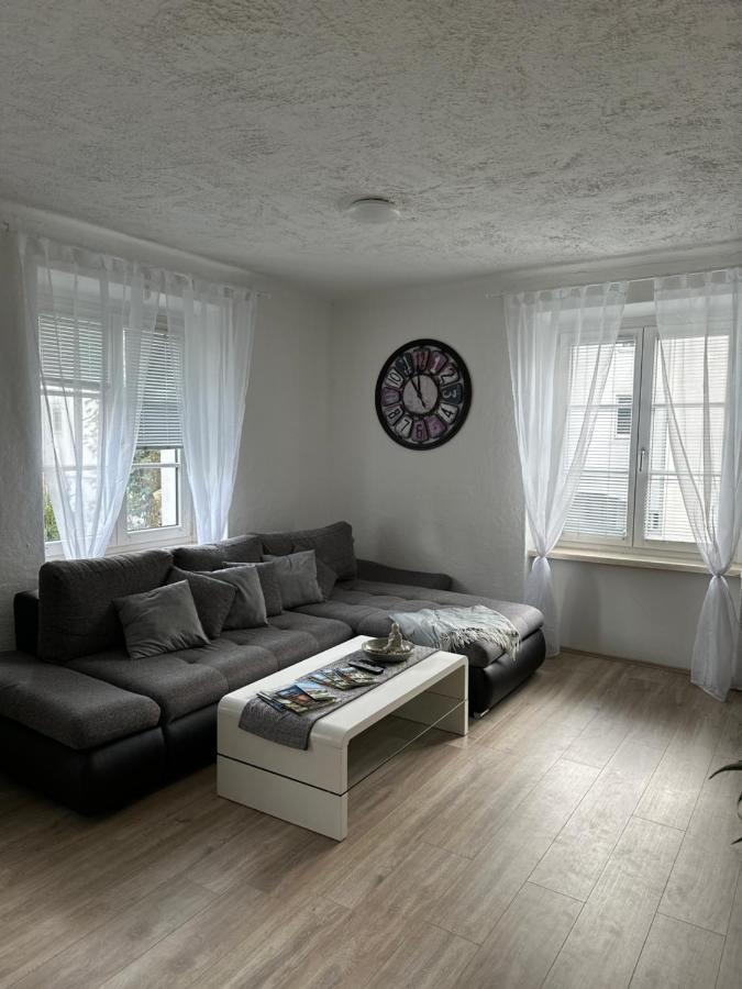 Gemuetliche Wohnung In Zentraler Lage กราซ ภายนอก รูปภาพ